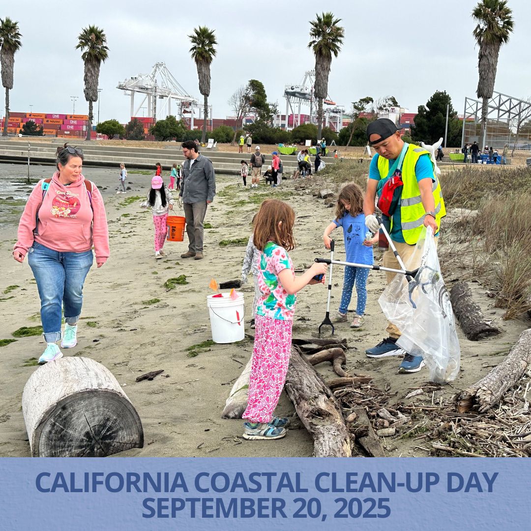 California Coastal Clean-Up
